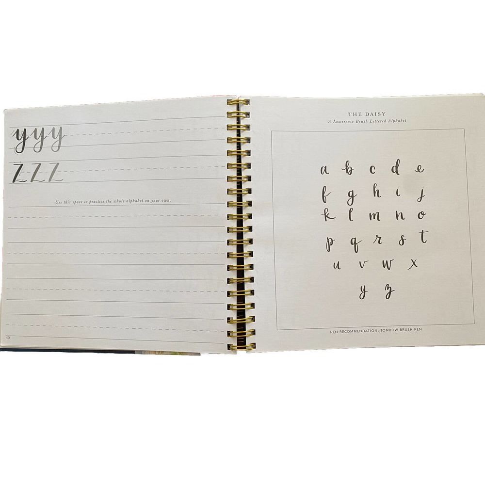 New Pretty simple Lettering Calligraphy Hand Lettering For Beginner + 3 Pens LOT - Picture 4 of 6